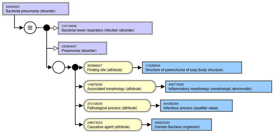 SNOMED-CT diagram of Bacterial Pneumonia